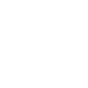 icon-re-engineering